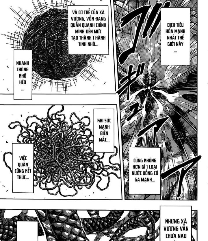 thánh tỏi sành ăn chapter 382 8