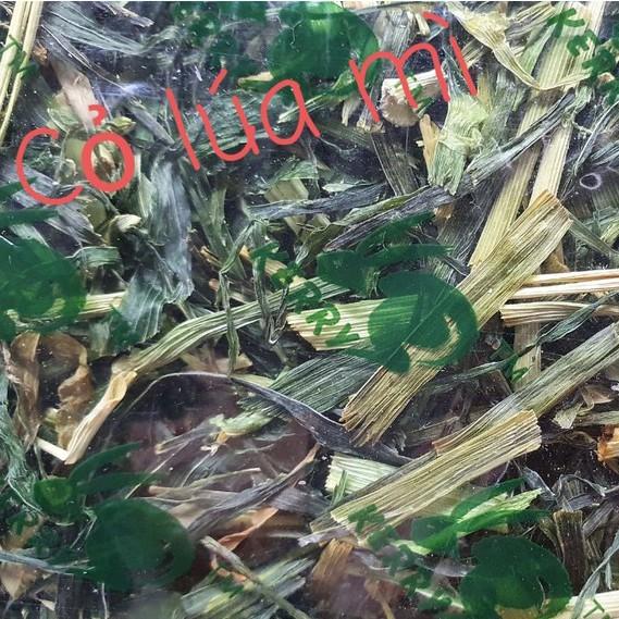 Cỏ Lúa Mạch, Lúa Mì KERRY cắt khúc Thơm Ngon cho Thỏ, Bọ 100gr