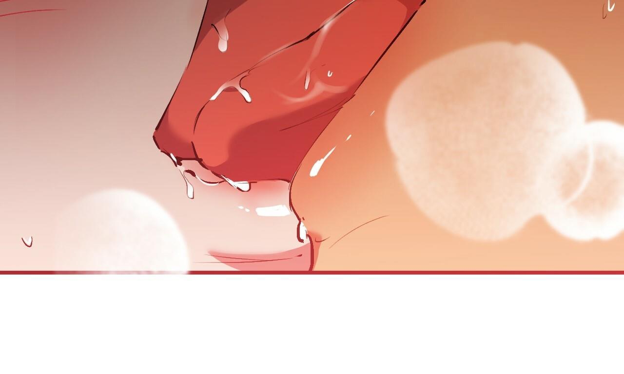 đàn thỏ của habibi chapter 43 79