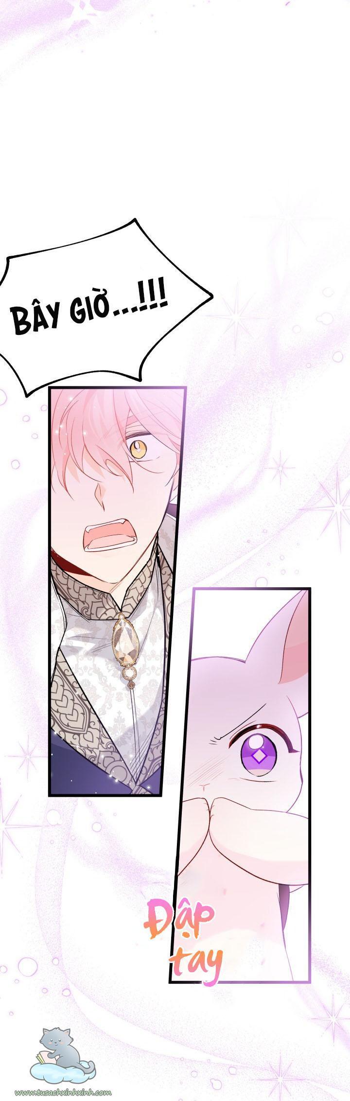 quan hệ cộng sinh giữa báo đen và thỏ trắng chapter 61 56