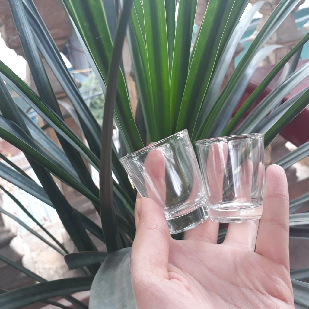 Chén Đựng Rượu Mắt Trâu, Chén Rượu Thủy Tinh Cực Rẻ - Duonghieu6789