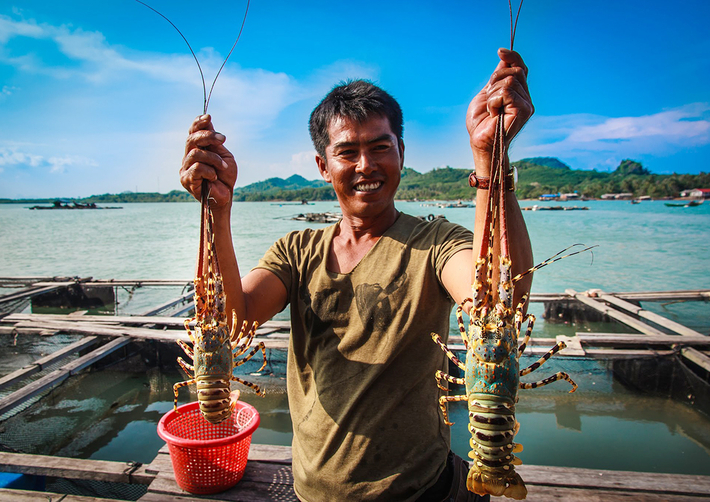 Tour Bình Ba 2N2Đ, Lặn Ngắm San Hô - BBQ Hải Sản - Bãi Nồm - Chùa Ốc - Vườn Nho, Xe Giường Nằm, Khởi Hành Tối Thứ 6 Hàng Tuần & Dịp Lễ Tết