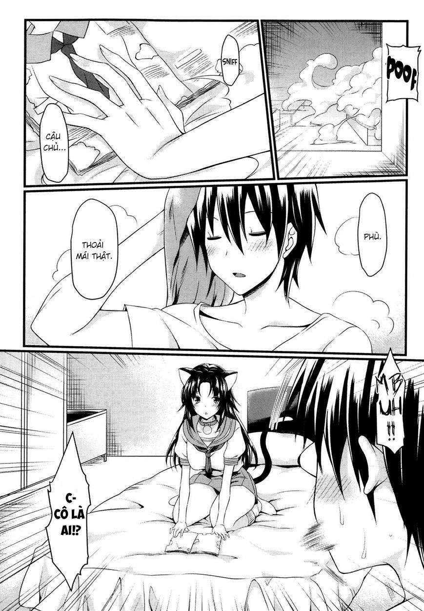 catwoooman chapter 0 8