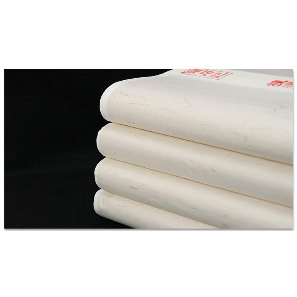 Giấy xuyến chỉ (Tuyên chỉ) vẽ thuỷ mặc, viết thư pháp đa dạng chất lượng - Bán sinh loại 2