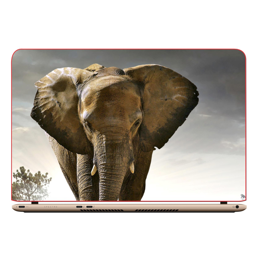 Miếng Dán Decal Laptop Animal DCLTDV 270