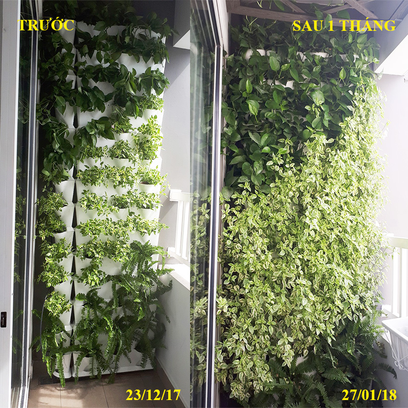 1m2 Module Trồng Cây Đứng Chung Cư Minigarden Vetical (8 Sets Module xếp chồng lên nhau), kèm Hệ Thống Tưới Nhỏ Giọt và tự bón phân bán tự động giúp cây trên tường đứng sống tốt, phát triển bền vững