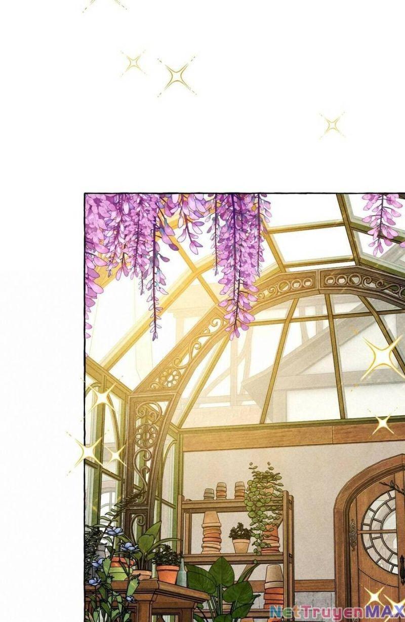 nuôi dưỡng một hắc long chapter 74.2 37