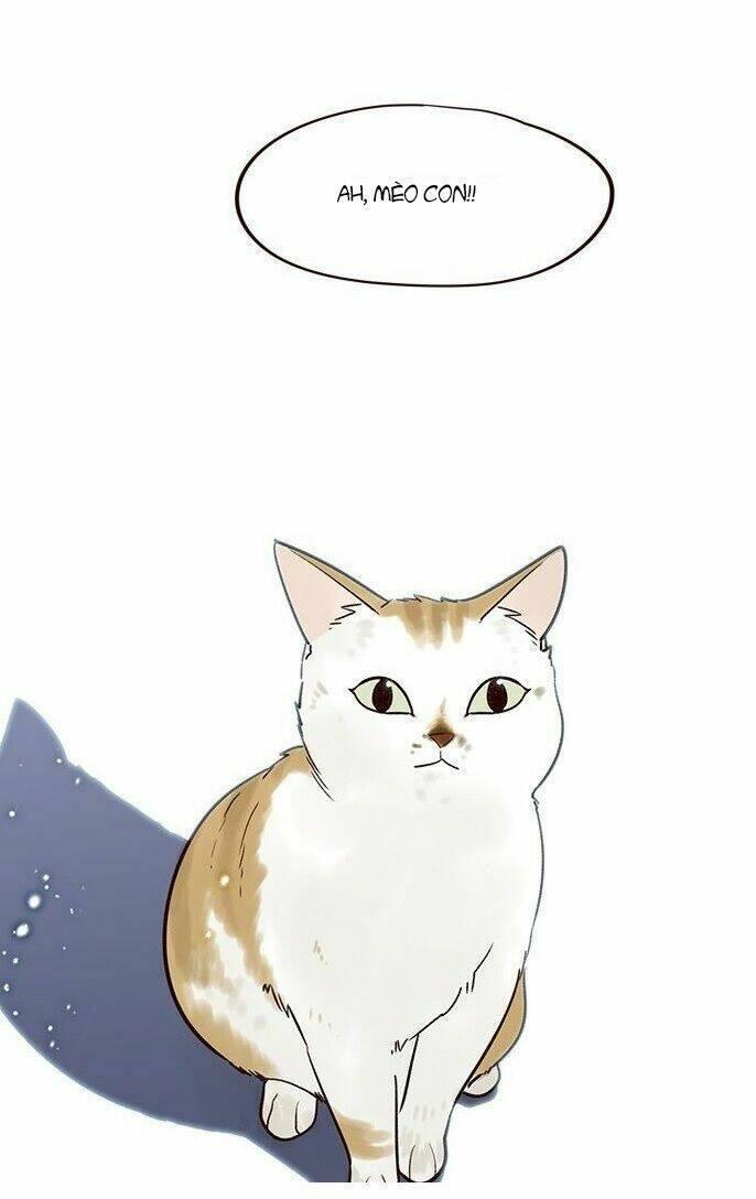 biến thân thành mèo chapter 7 9