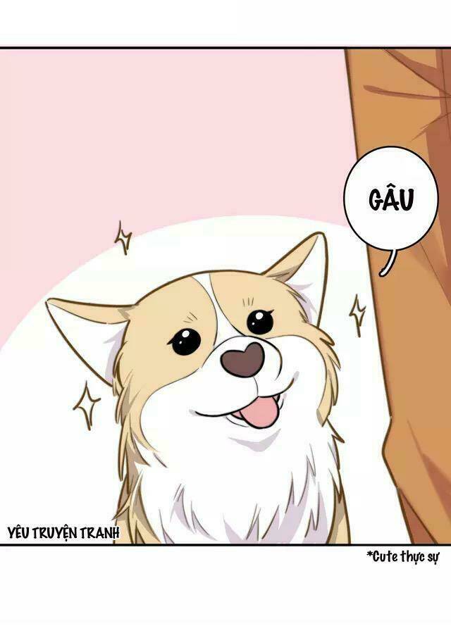 tình yêu trên cùng một dòng chapter 4.2 31