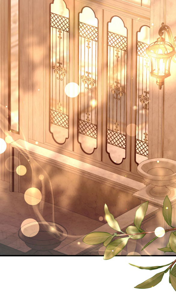 Tôi Sẽ Biến Anh Ta Từ Một Con Chó Điên Thành Một Chàng Quý Tộc chapter 27.2 5