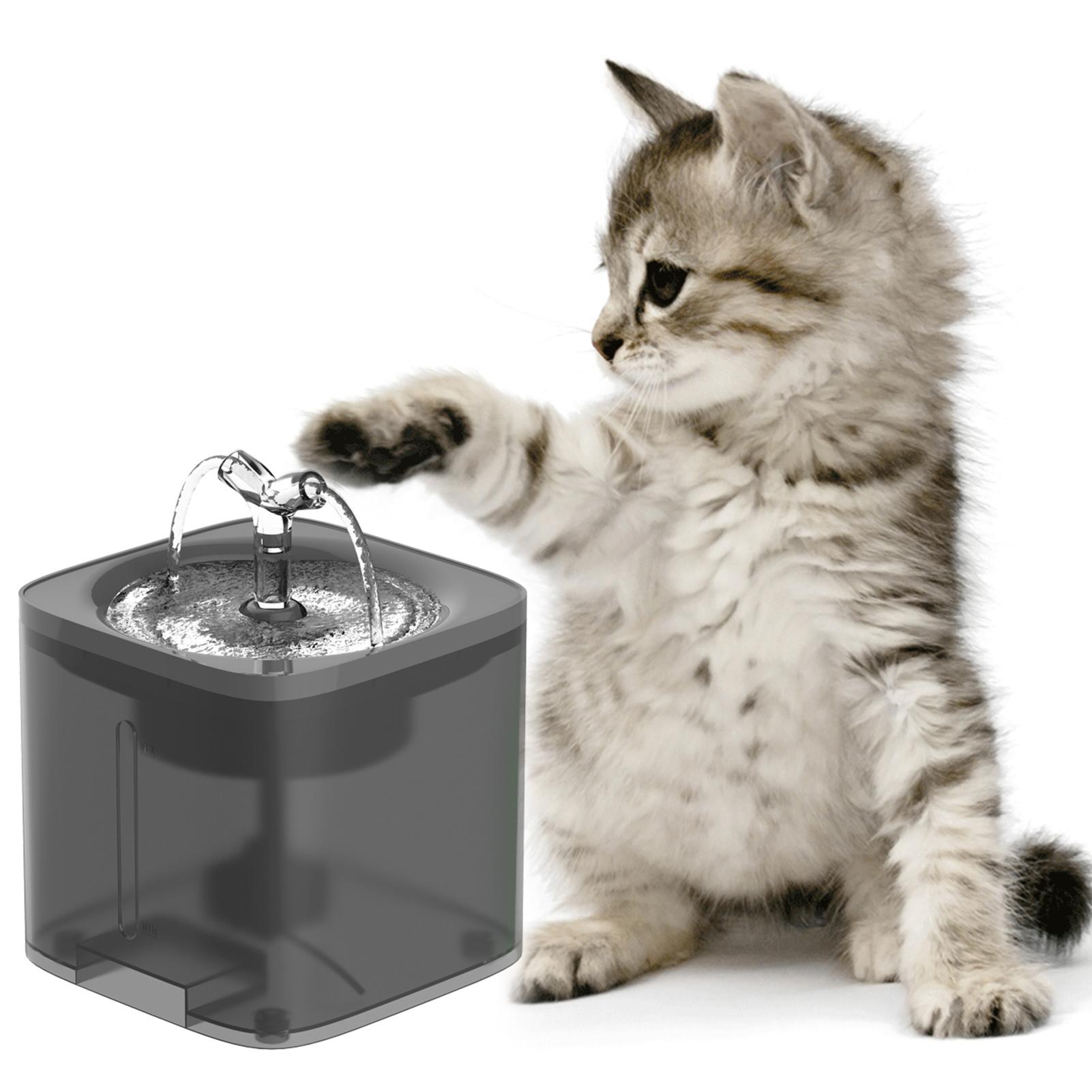 cat water cooler