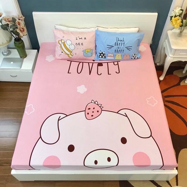 Ga gối cotton 3 món hình siêu ngộ nghĩnh