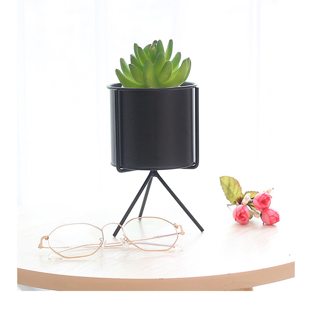 Chậu trồng cây sen đá, xương rồng, cẩm nhung – Hộp trồng cây mini để bàn