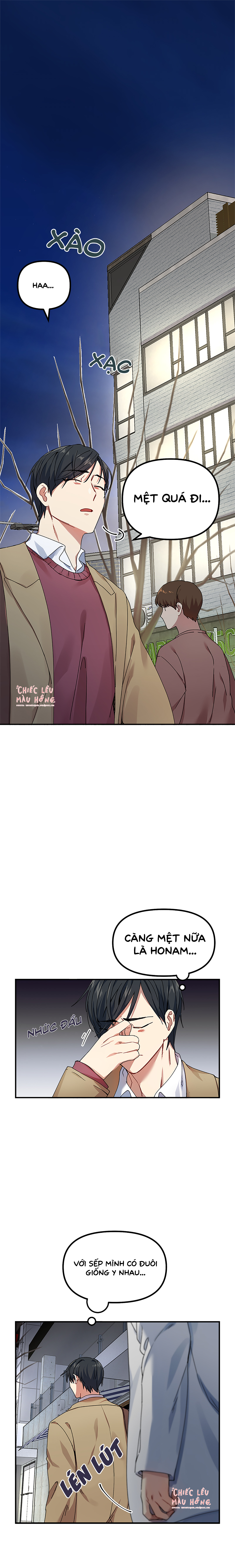 ngày cưới của ngài hổ chapter 2 1