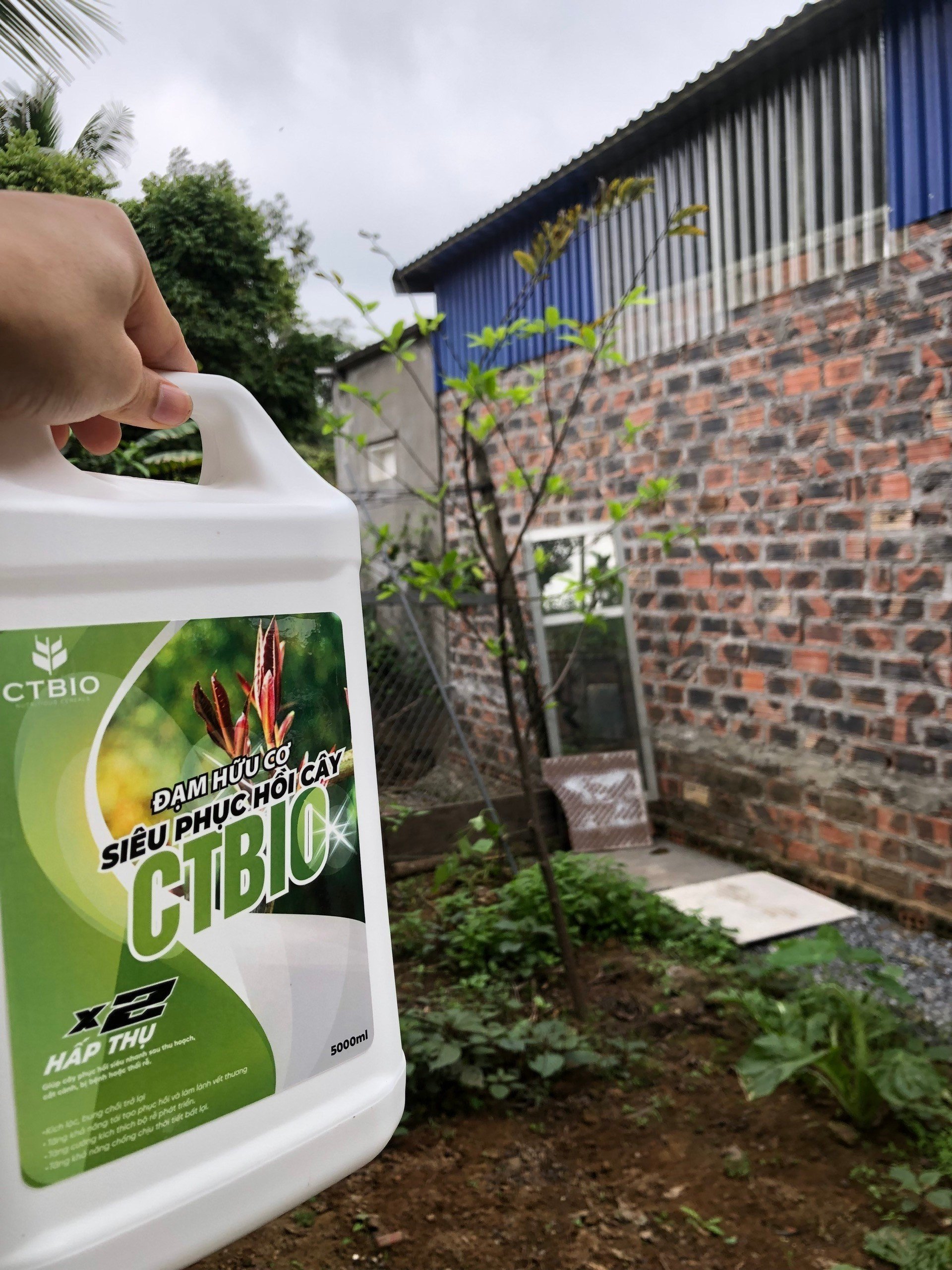 SIÊU PHỤC HỒI CÂY CTBIO - phân hữu cơ
