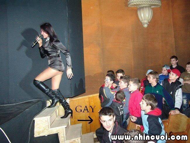 hình ảnh hài hước new chapter 6 22