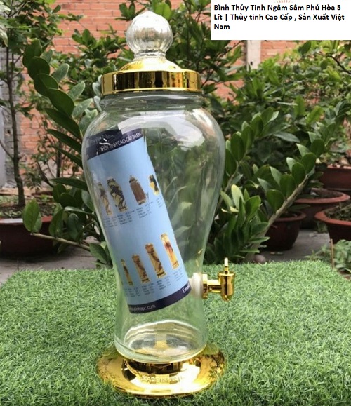 Bình Thủy Tinh Ngâm Sâm Phú Hòa 5 Lít | Thủy tinh Cao Cấp , Sản Xuất Việt Nam