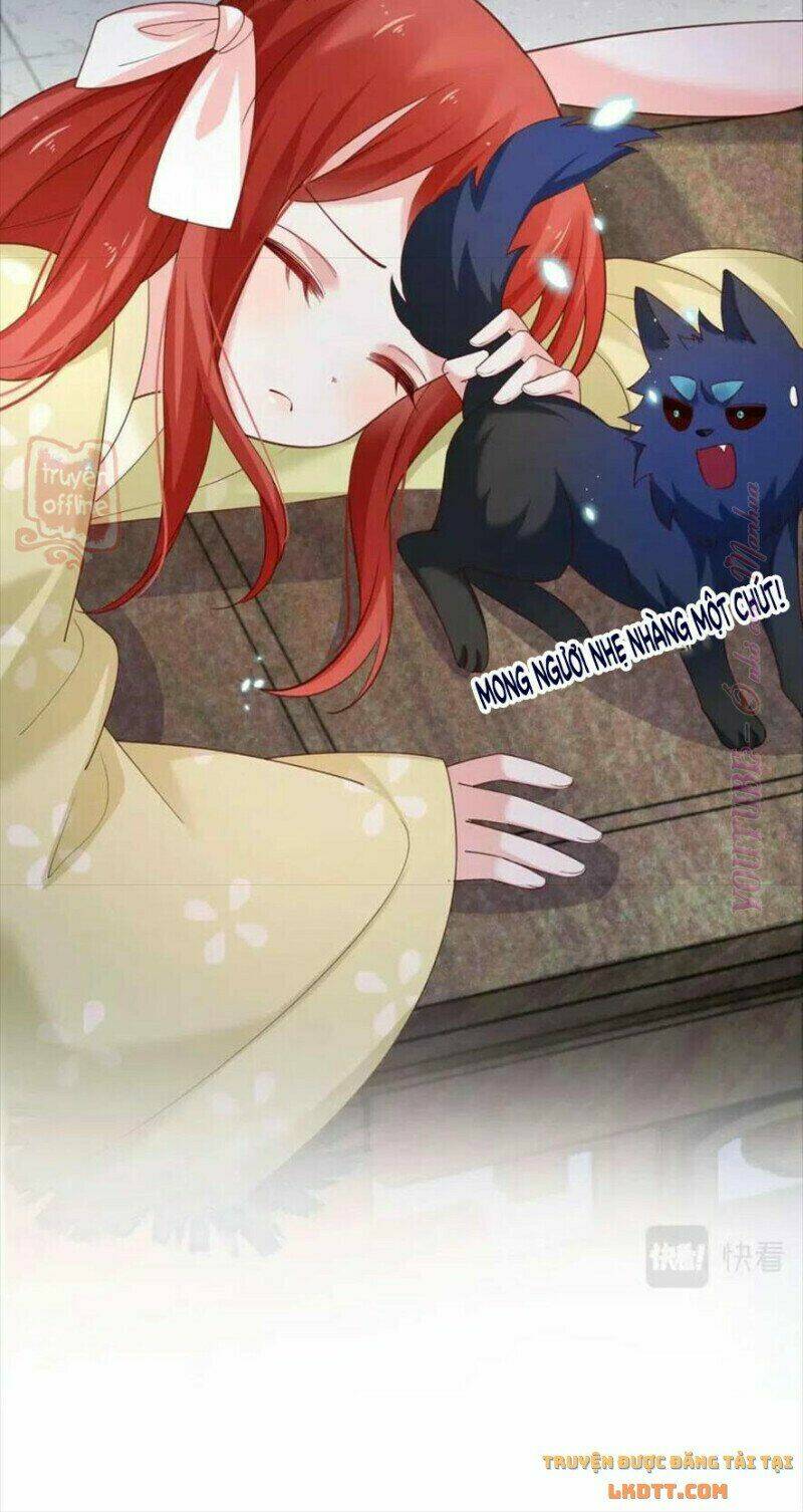 hắc hóa nam chính trực tuyến nuôi thỏ chapter 56 25