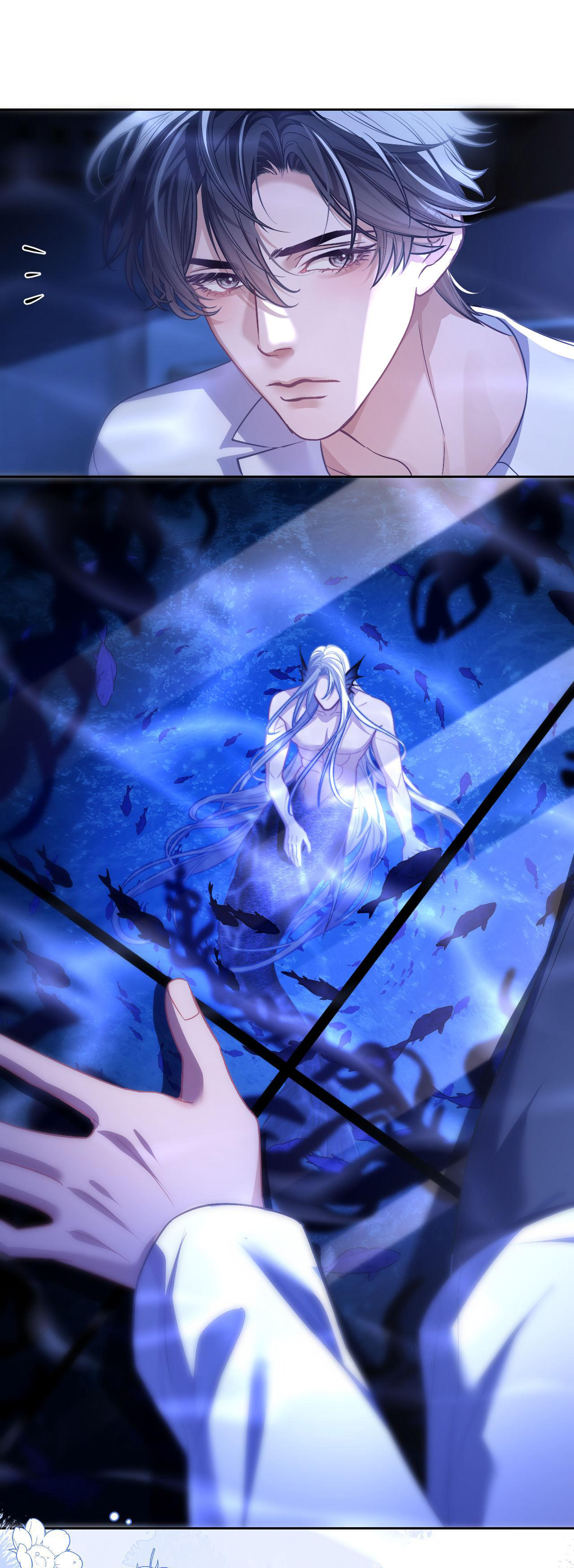 nhân ngư dessaro chapter 13 23