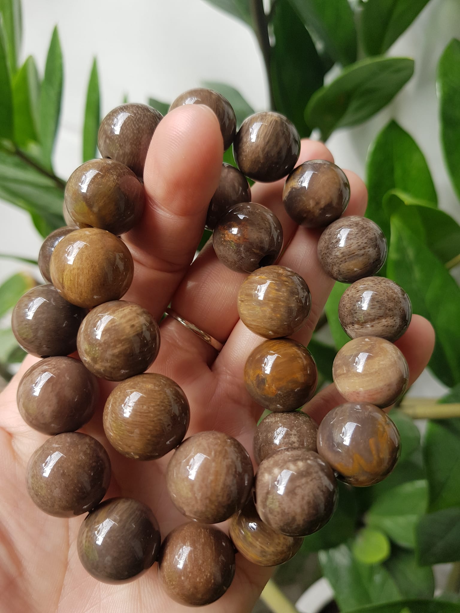 Vòng Gỗ Hóa Thạch Nam 16mm Màu Sáng Bóng Tự nhiên Gỗ Hóa Thạch Đẹp Nam đeo size vòng 16mm sang tay ạ