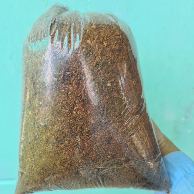 Xơ dừa
