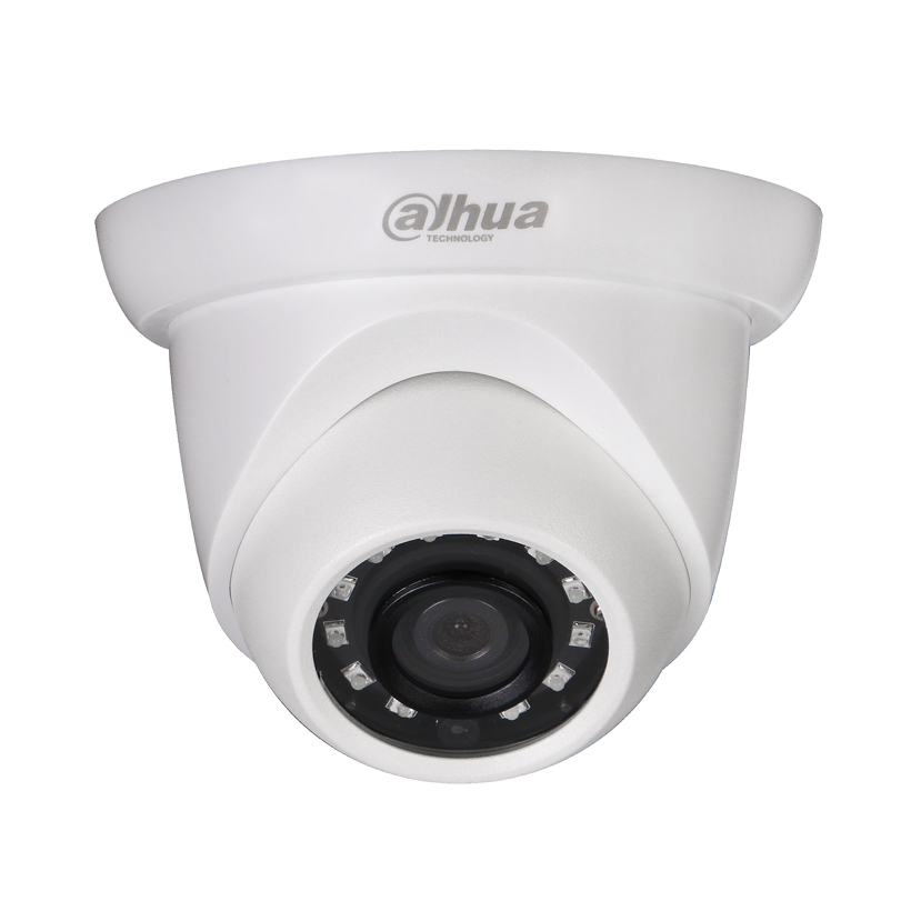 Camera IP 1.0MP DSS DS2130DIP - Hàng Nhập Khẩu