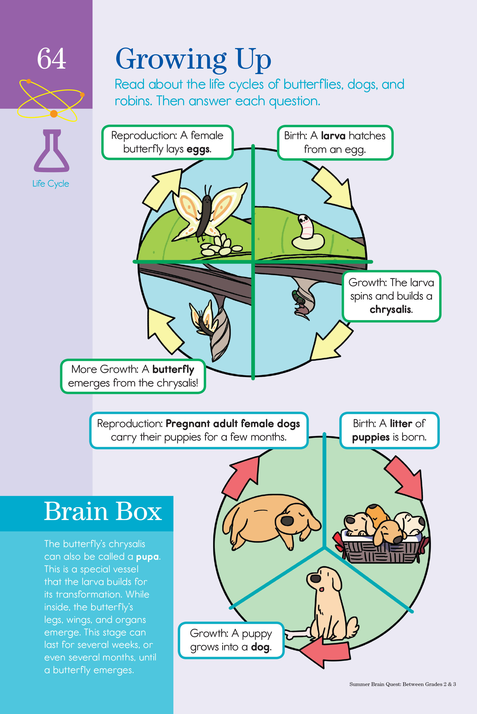 Summer brain quest grade 2&amp;3 - sách cho trẻ 7-8 tuổi