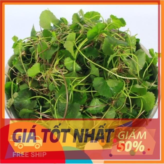 (GIẢM GIÁ) Giống Rau má lá nhỏ