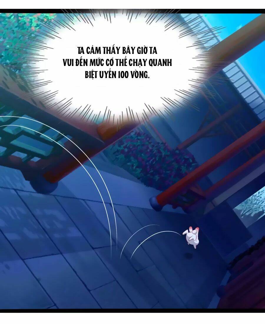 thỏ yêu tiểu vương phi chapter 45 5