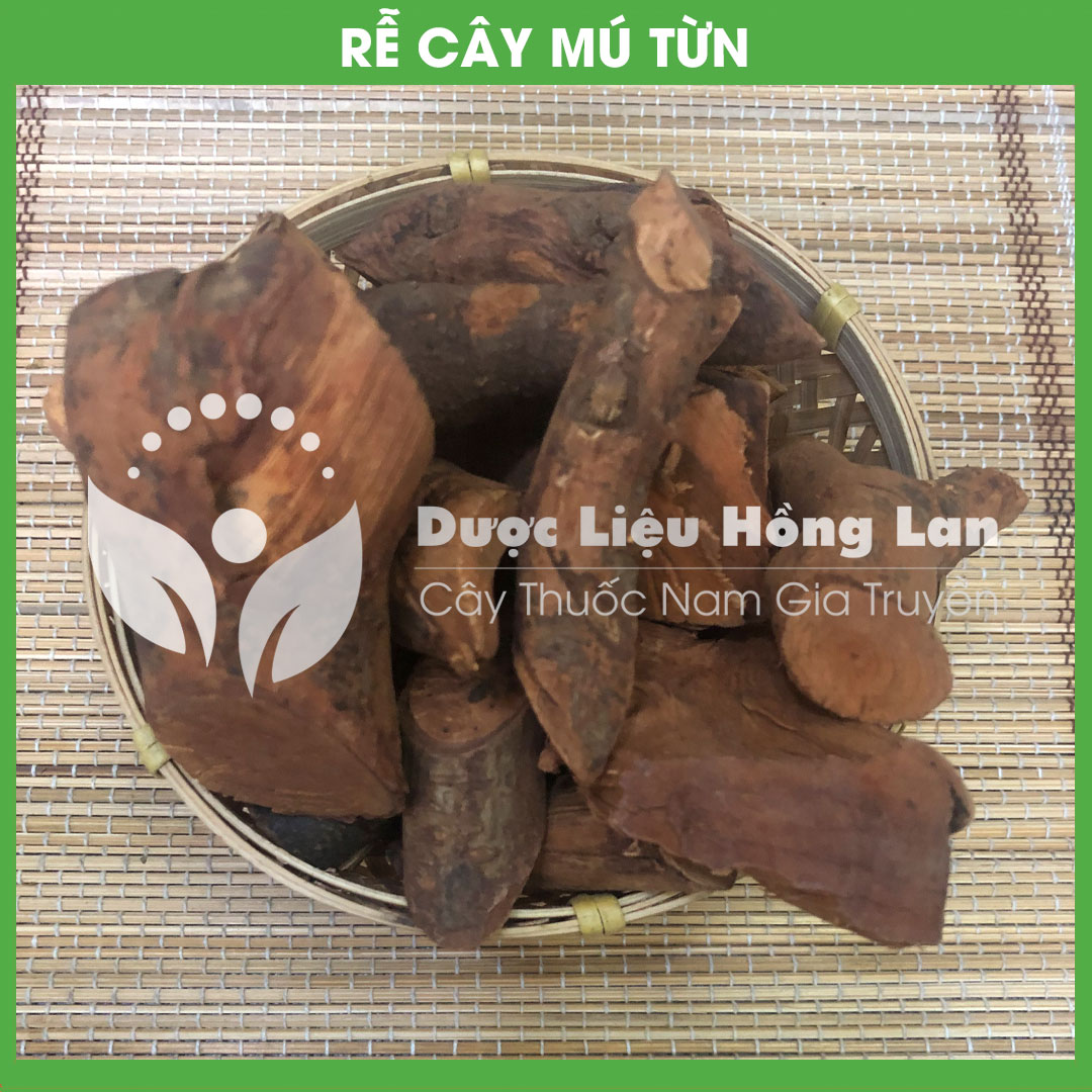 1kg Rễ Cây Mú Từn (Cù boong nậu) khô