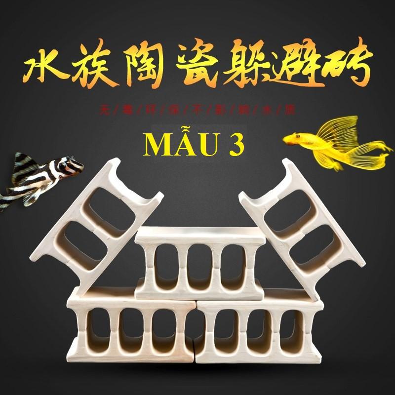 HANG PLECO SUTO HÀNG ĐẸP - HANG THỦY SINH