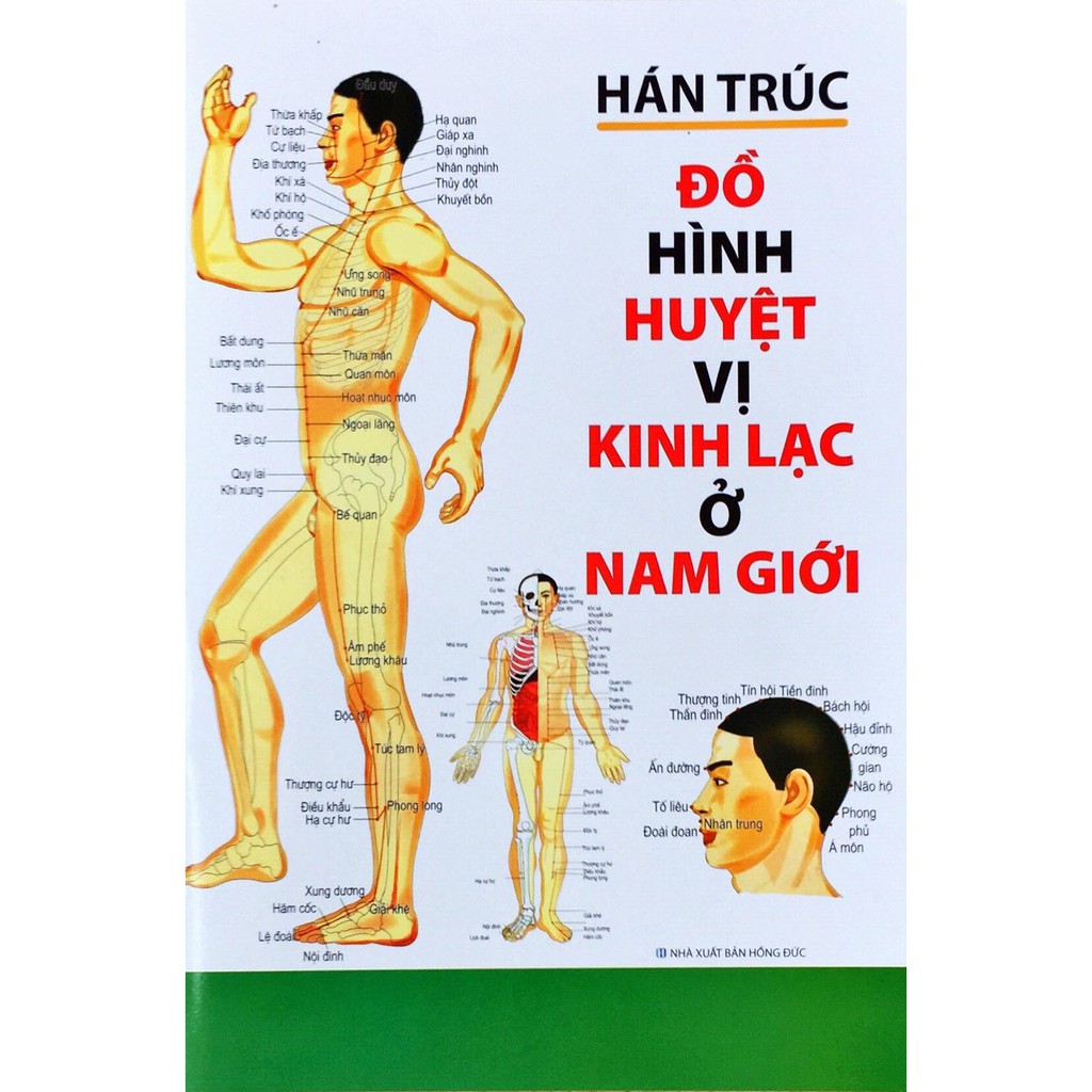 Sách - Đồ Hình Huyệt Vị Kinh Lạc Ở Nam Giới - Hán Trúc