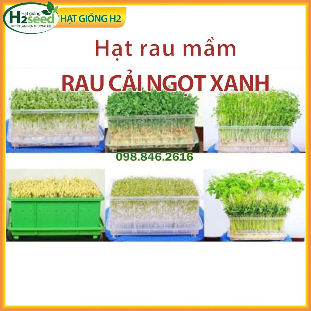 3 gói Hạt rau mầm rau cải ngọt Xanh, gói 50g nảy mầm đồng đều