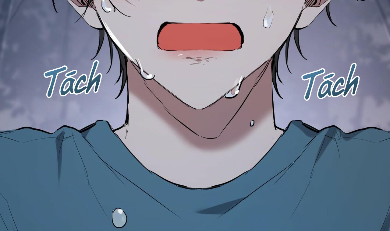 đàn thỏ của habibi chapter 37 102