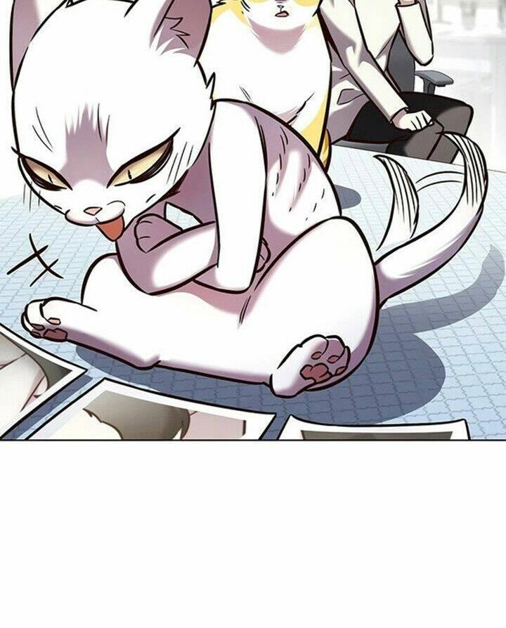 biến thân thành mèo chapter 200 22