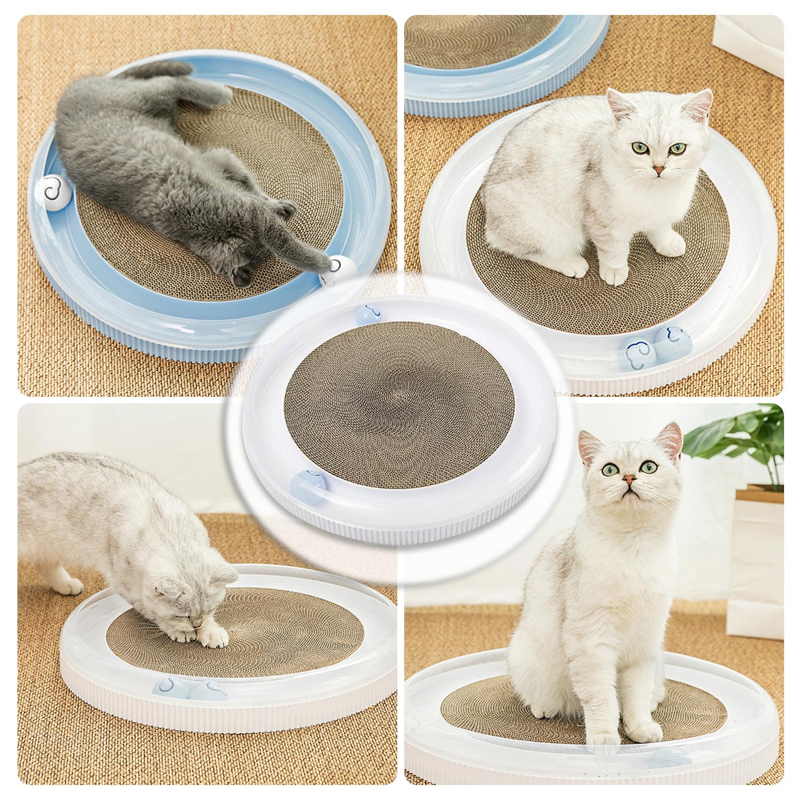 Đồ chơi tương tác vui nhộn cho mèo với 2 quả bóng và bìa cứng để giải trí