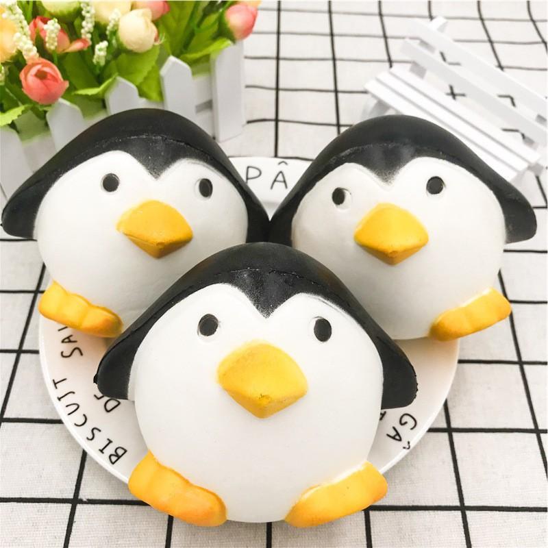 SquiShy CHIM CÁNH CỤT TRÒN