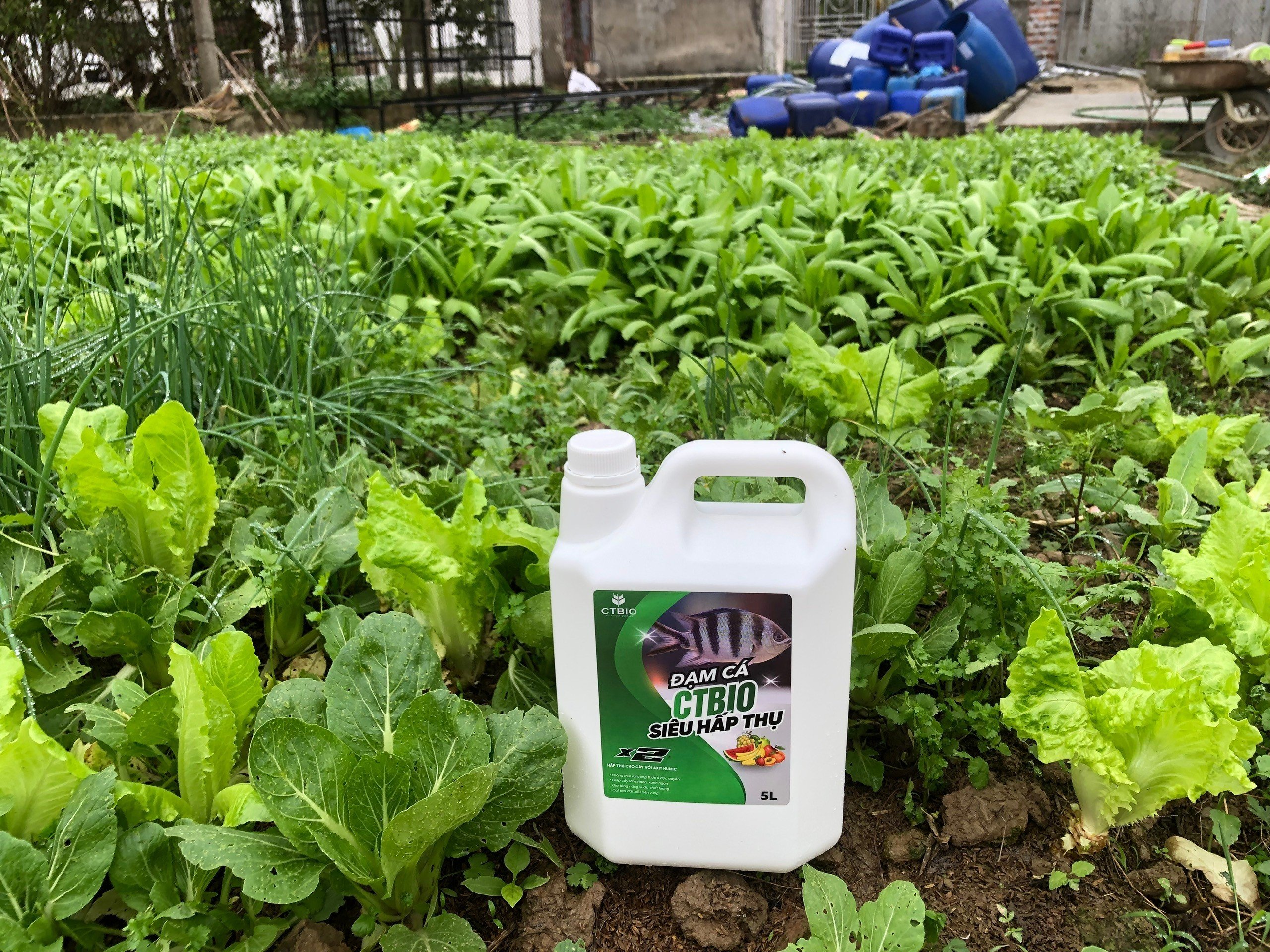 Siêu cải tạo đất với bộ 3 - Emzeo Đa chủng vi sinh vật + Đạm cá hữu cơ CTBIO +Axit Humic - giúp cải tạo cho diện tích 100m2