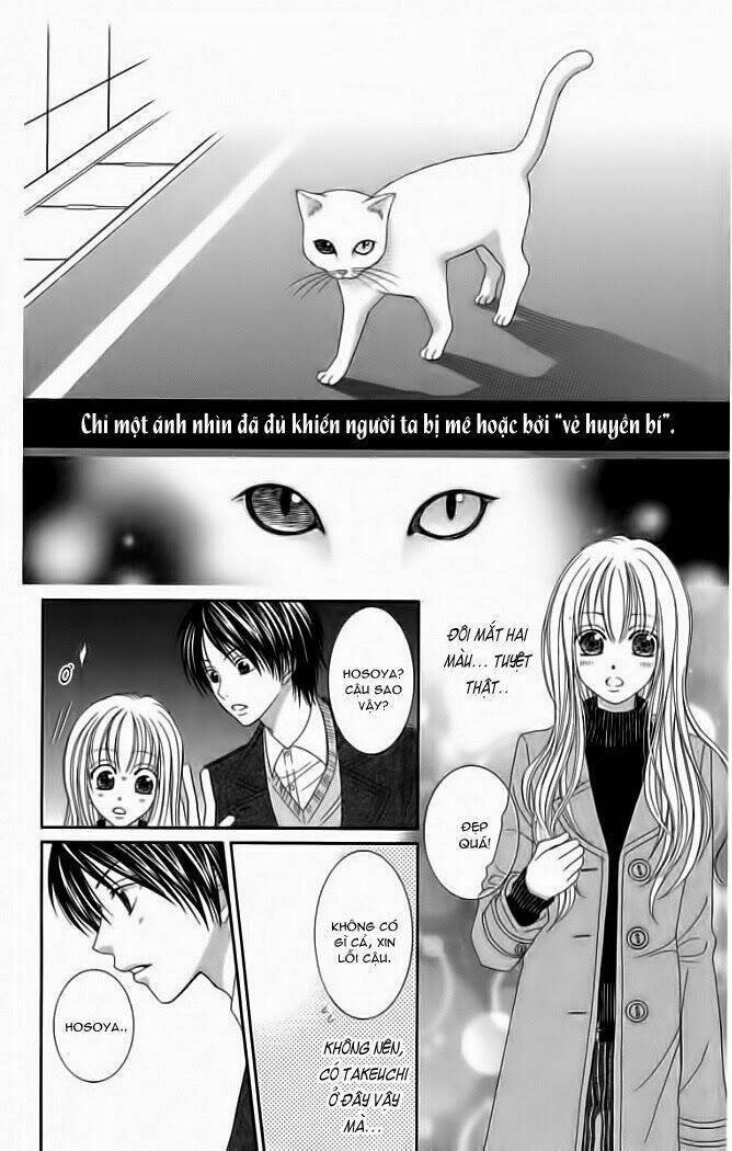 my dear cat chapter 1 6