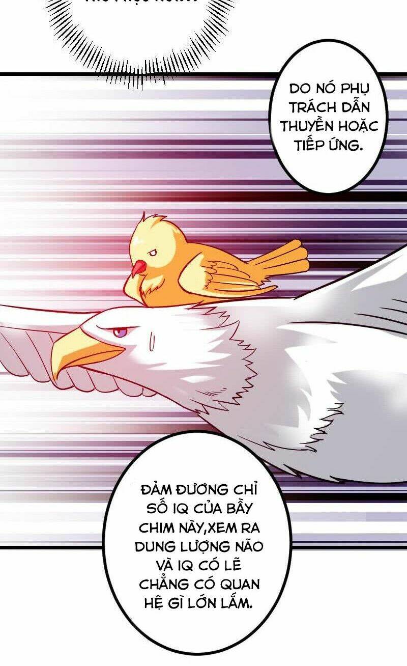 ngưu thư cung ứng thương chapter 141 14