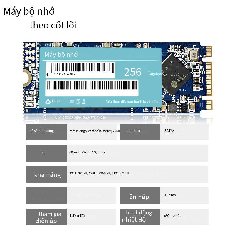 Phong cách mới nhất Ecocore M.2 2260SATA3 giao thức NGFF SSD chip 3D TLC gốc 256GB