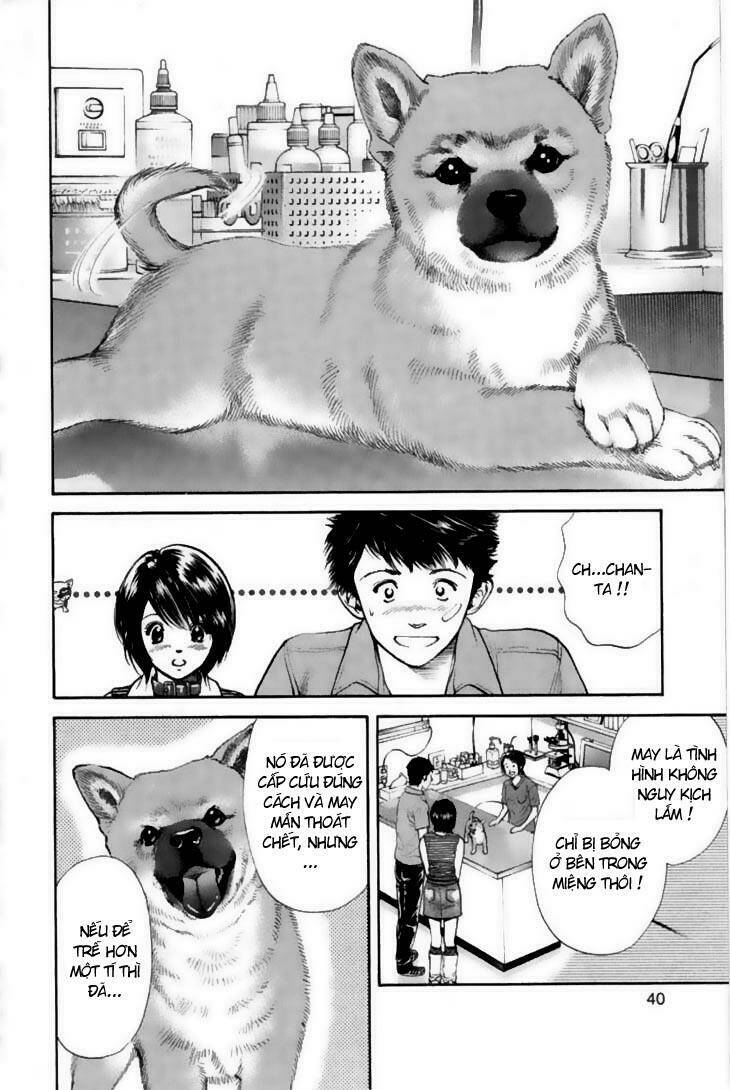 cô nàng yêu chó chapter 21 16