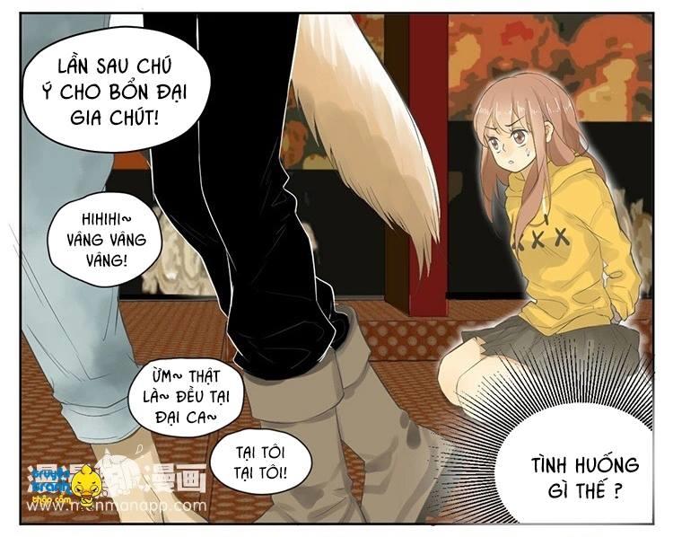 cứu mạng ! loài mèo thống trị thế giới rồi ! chapter 19 4