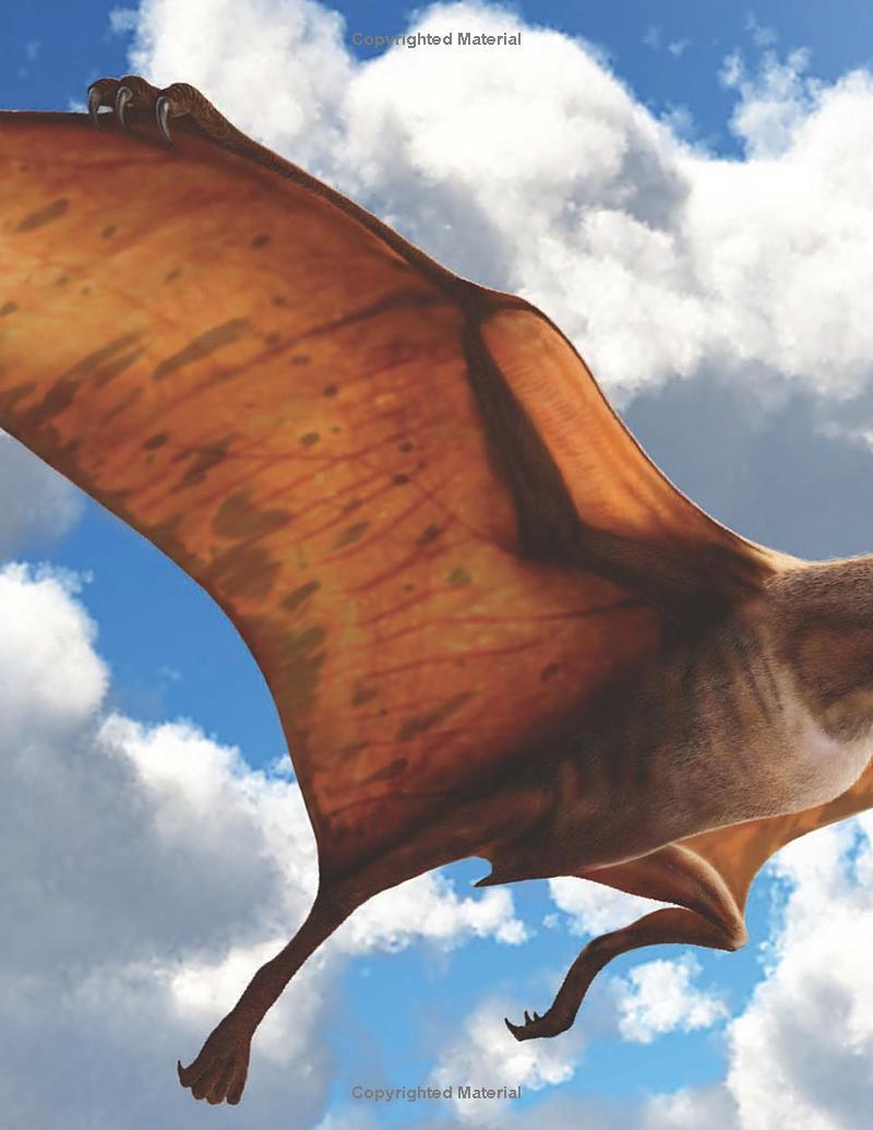 Sách ngoại văn: Wild About Dinosaurs