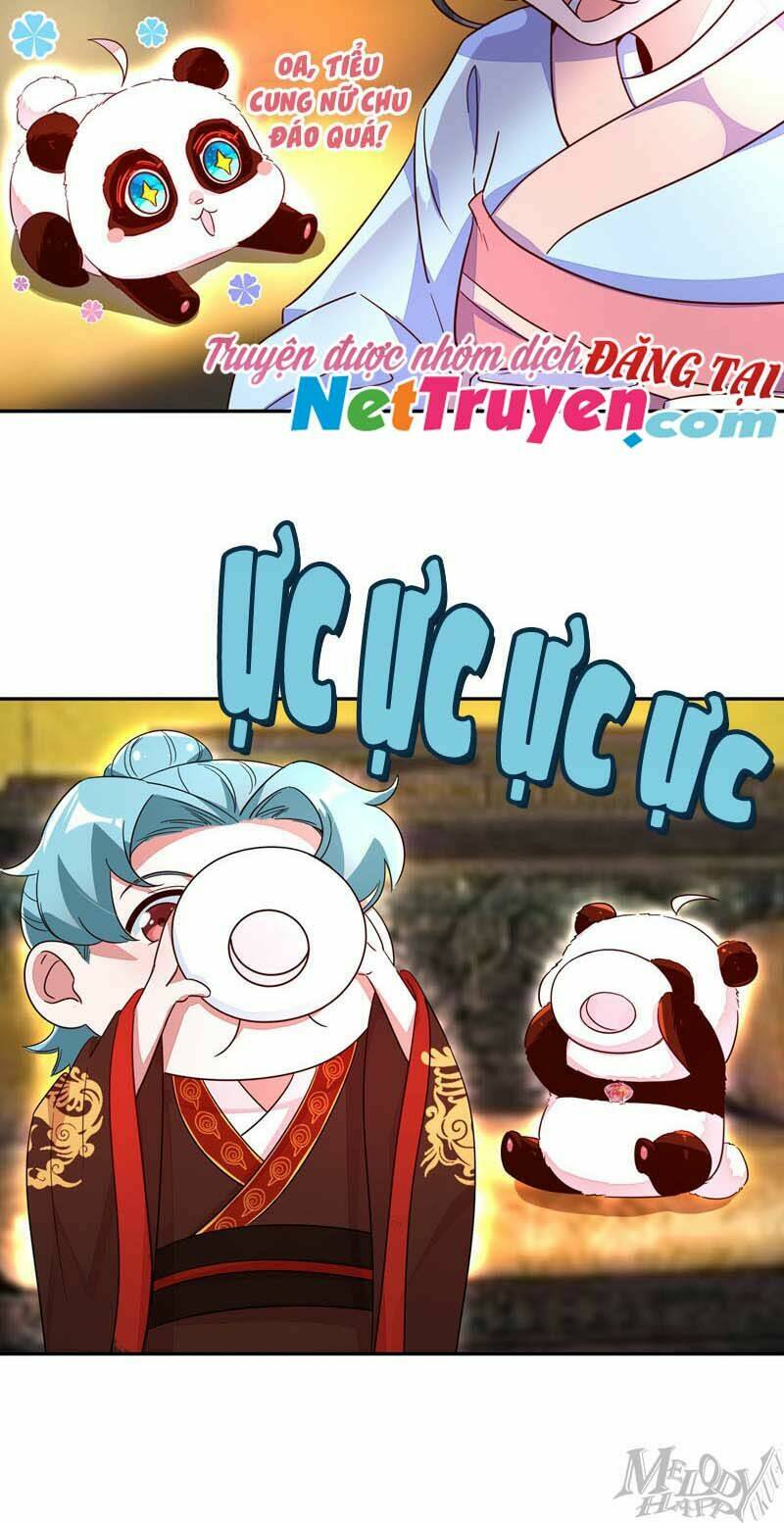 thiên thần gấu trúc muốn được ôm chapter 50 10