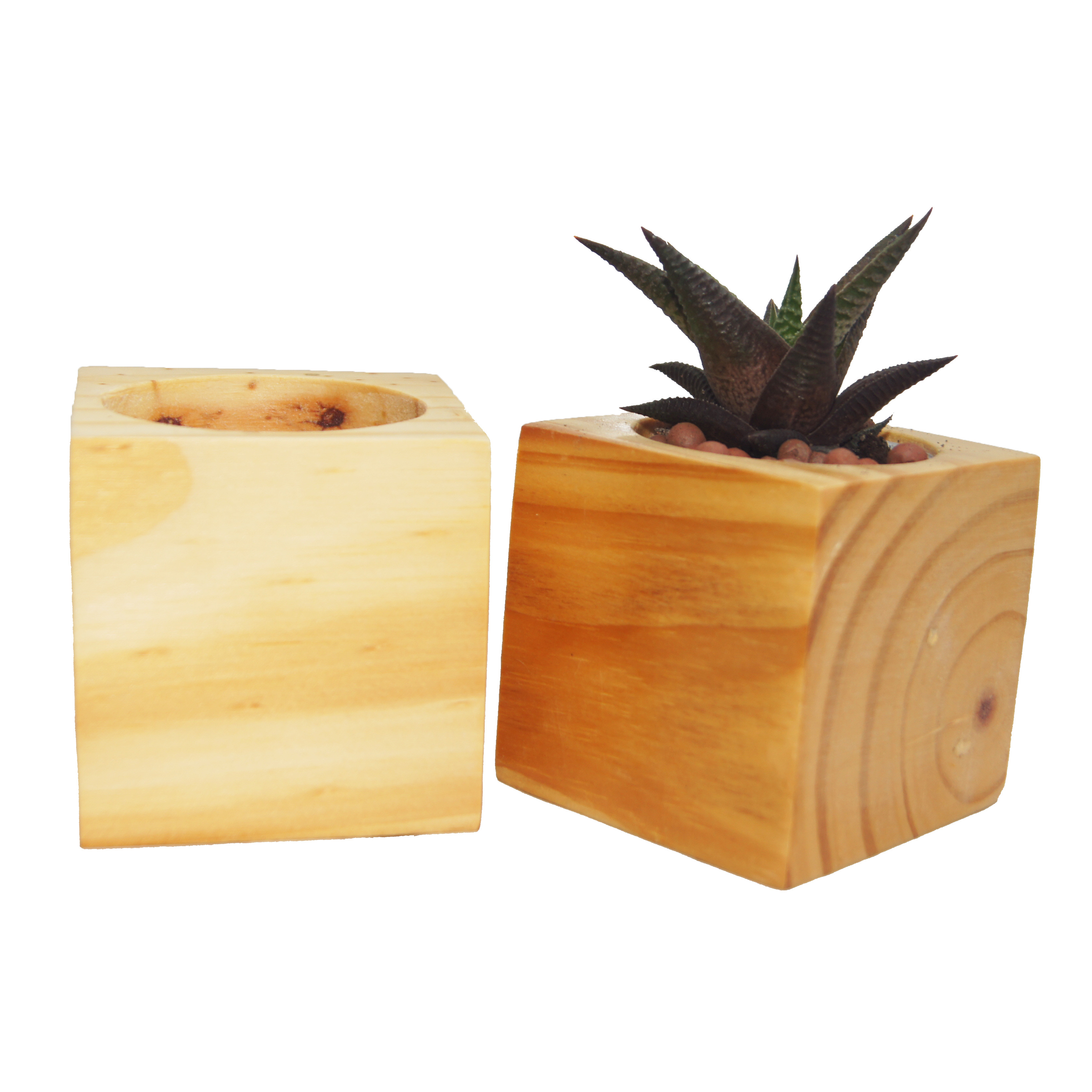 Combo 3 Chậu Trồng Cây Bằng Gỗ Nguyên khối Hình Vuông - Kích thước: 7x7cm