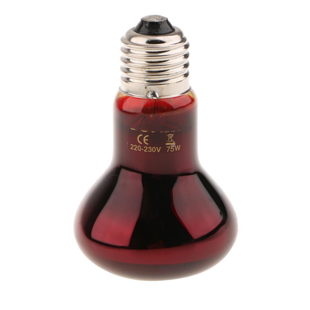 3x Reptile Nightlight Heat Lamp E27 Base UVA Night View Heat Light Bulb 75W