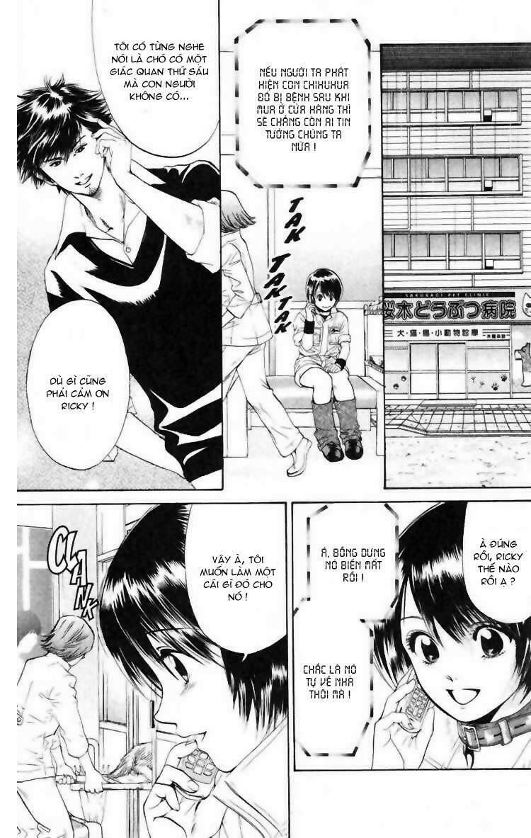 cô nàng yêu chó chapter 6 12