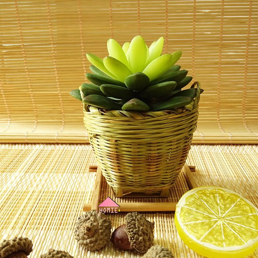 Cần xé nhỏ trang trí bàn xinh xắn