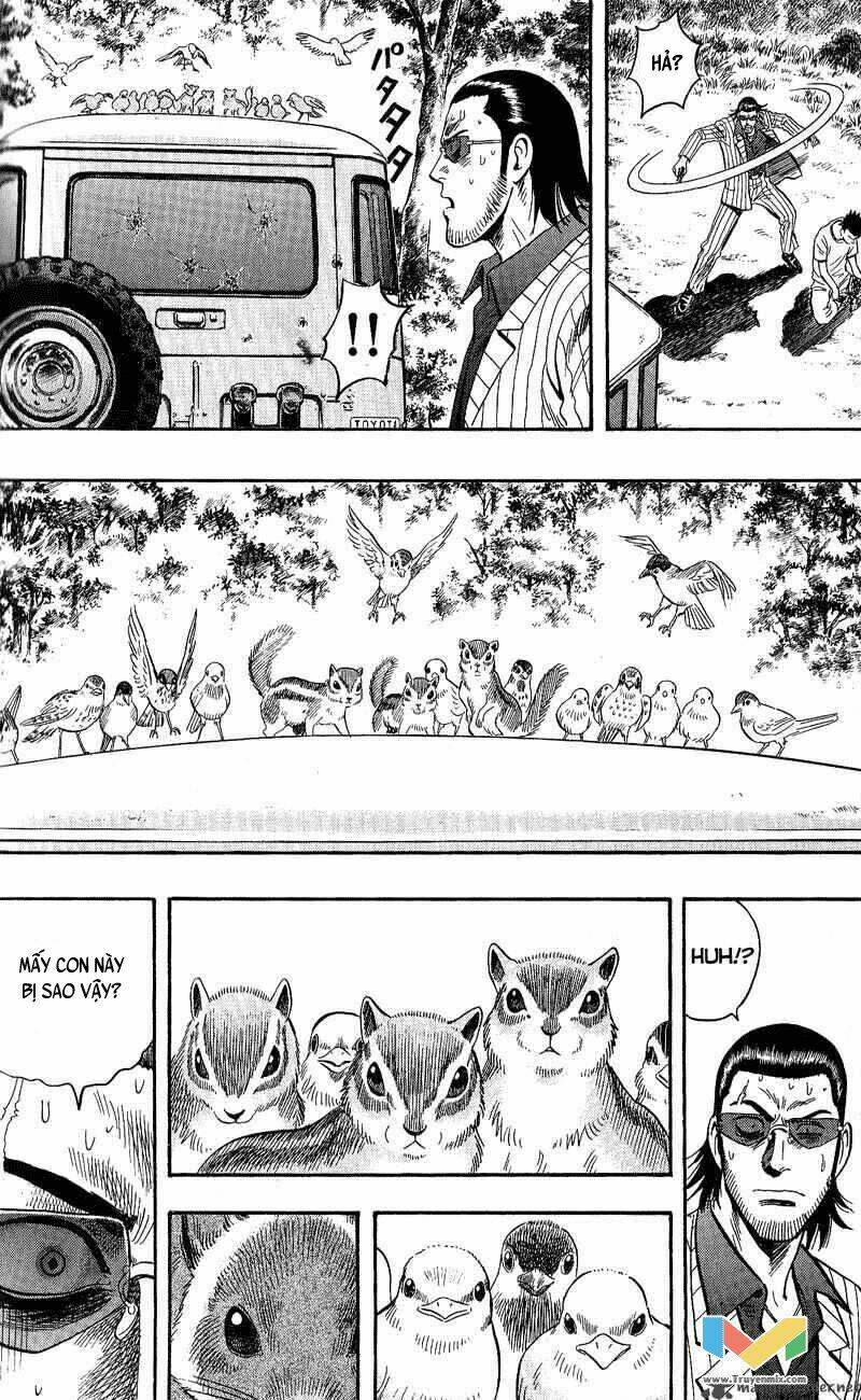 animal sense chapter 13 26